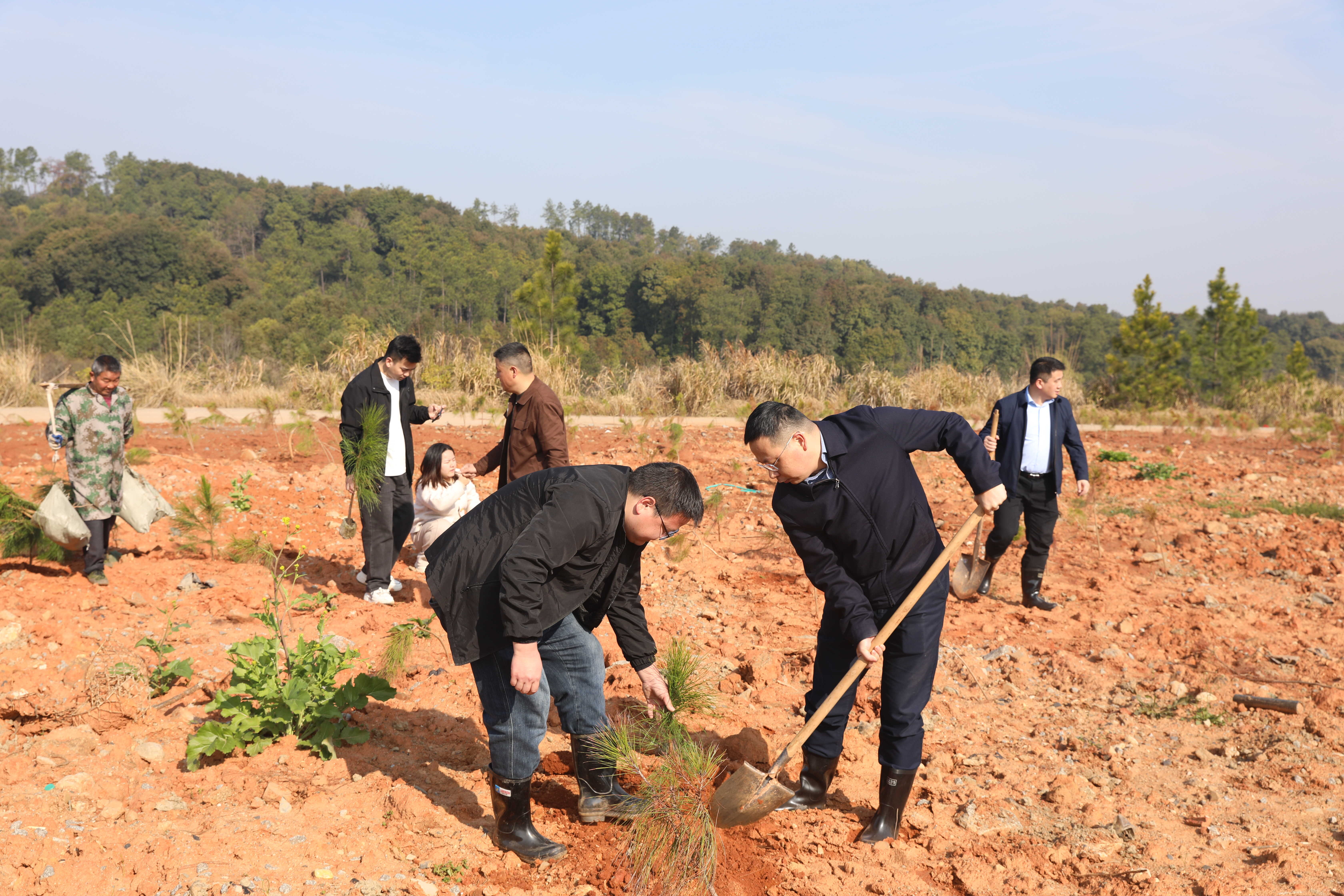 ������������Ժ��֯�ɾ�ǰ�����￪չ����ֲ���